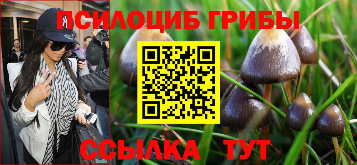 Киселёвск  Псилоцибиновые грибы Magic Shrooms  Вход с VPN 